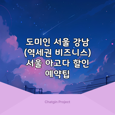 도미인 서울 강남 (역세권 비즈니스) 서울 아고다 할인 예약팁