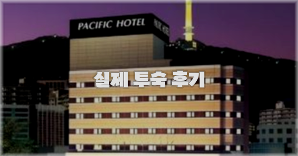 💬 실제 투숙 후기