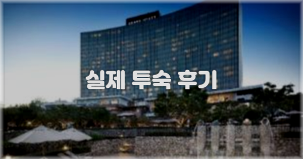 💬 실제 투숙 후기