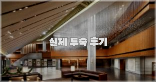 💬 실제 투숙 후기