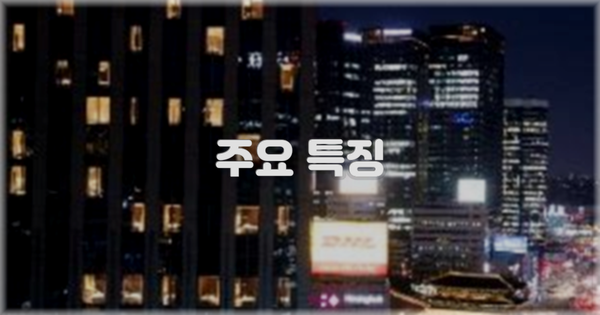 ✨ 주요 특징