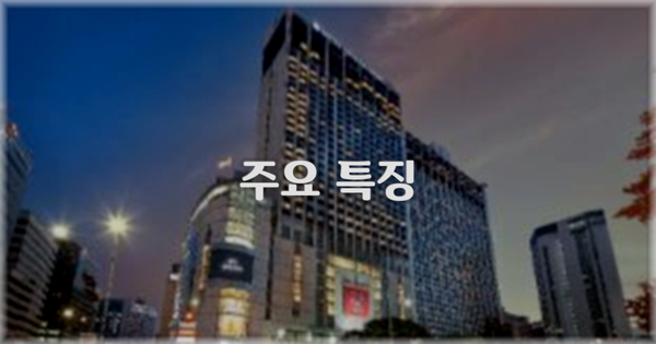 ✨ 주요 특징