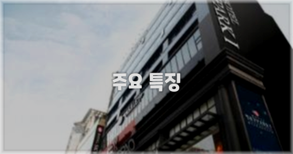 ✨ 주요 특징