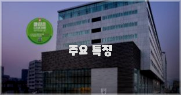 ✨ 주요 특징