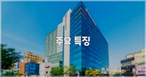 ✨ 주요 특징
