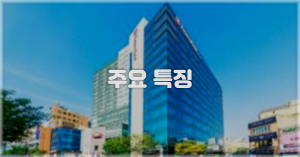 ✨ 주요 특징